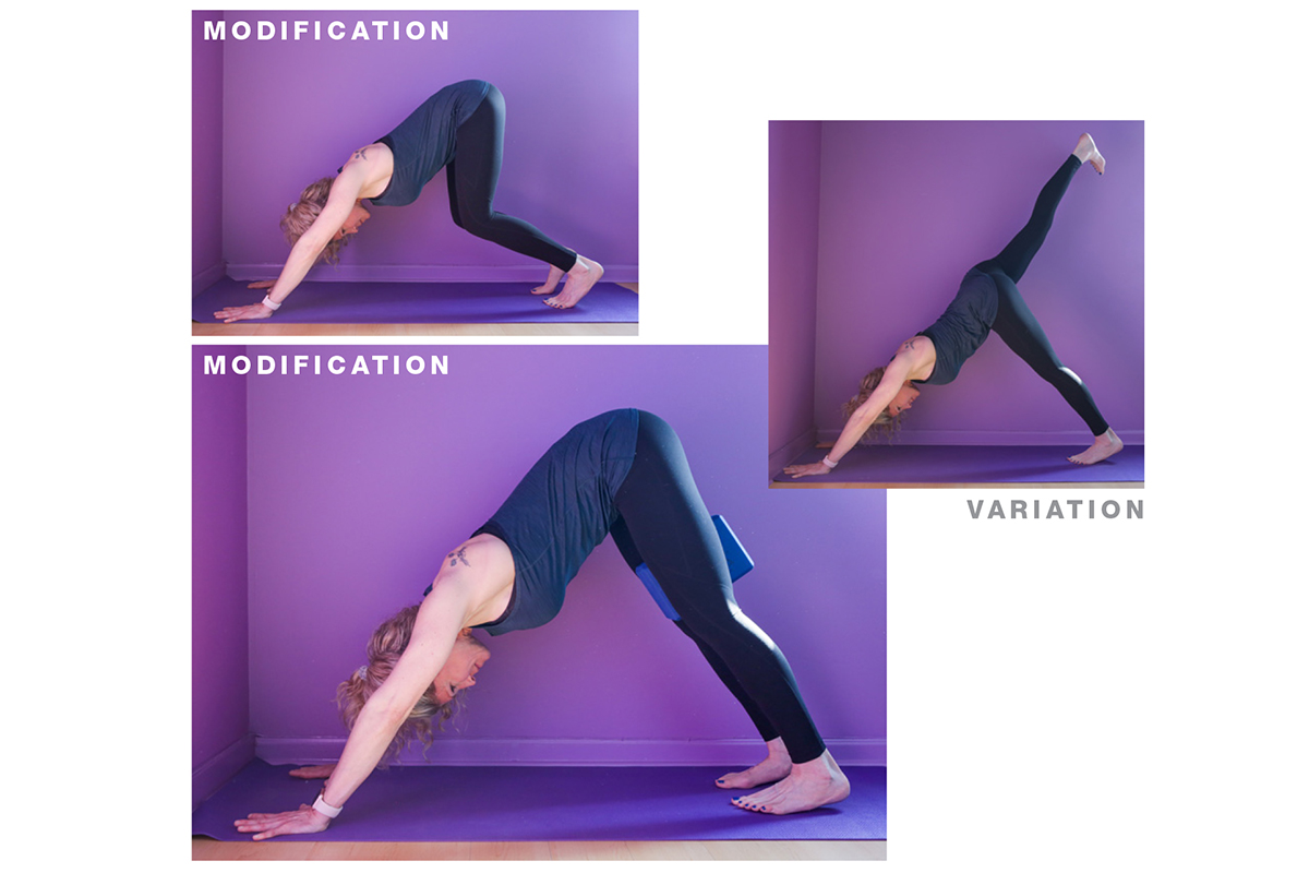 Yoga With Neyu on Instagram: “Sharing some variantions and modifications of  the Triangle pose or Trikonasana. A posture that tones the legs, stimulate…  | Ioga, Yoga
