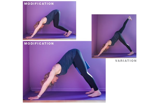 Yoga Poses Deconstructed: A Master Class in Yoga Modifications